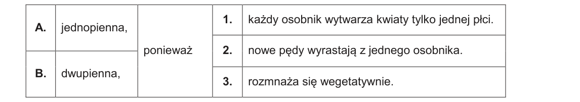 Rycina do zadania 4.1