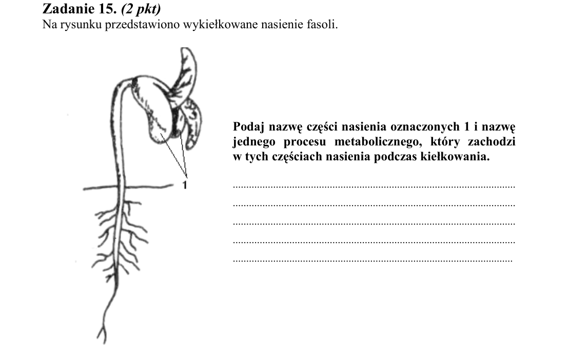 Rycina do zadania 15