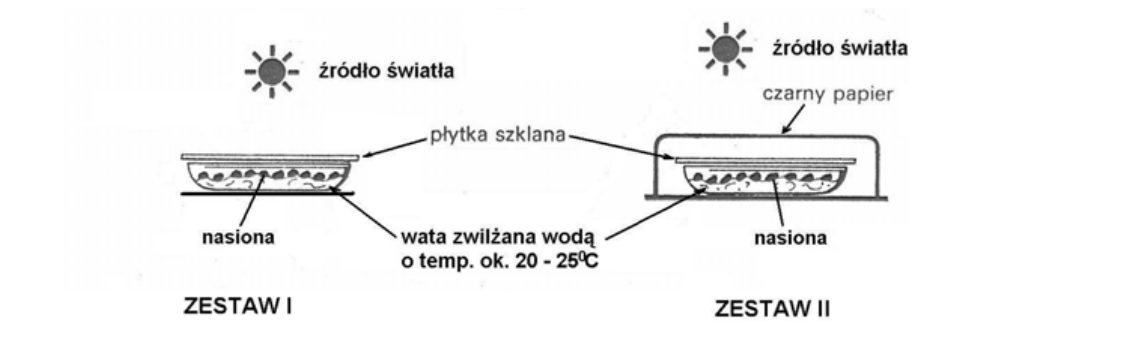 Rycina do zadania 18