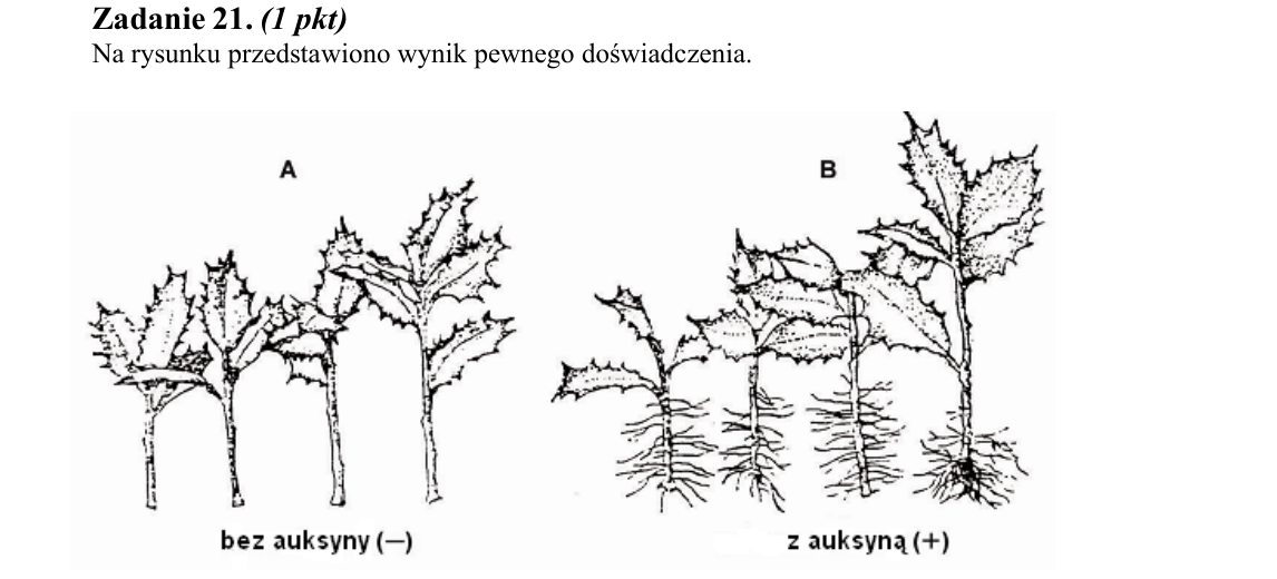Rycina do zadania 21