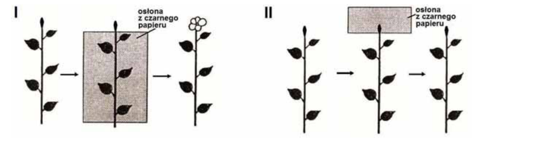 Rycina do zadania 23