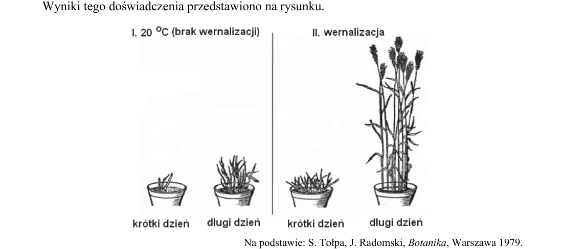Rycina do zadania 20