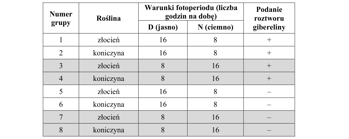 Rycina do zadania 5