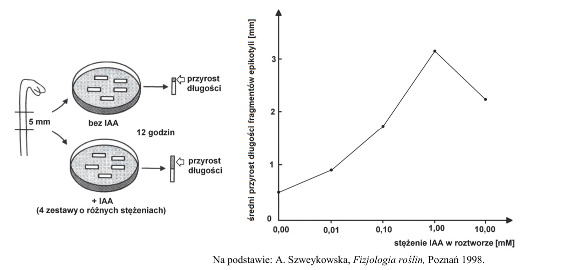 Rycina do zadania 6.1
