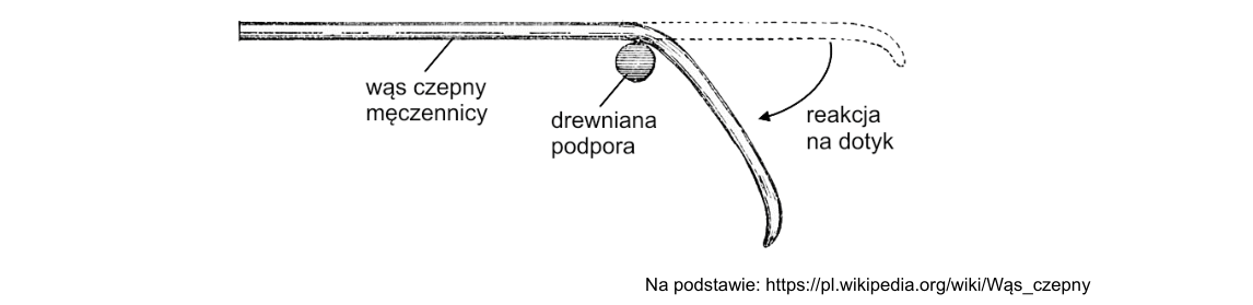 Rycina do zadania 8.1