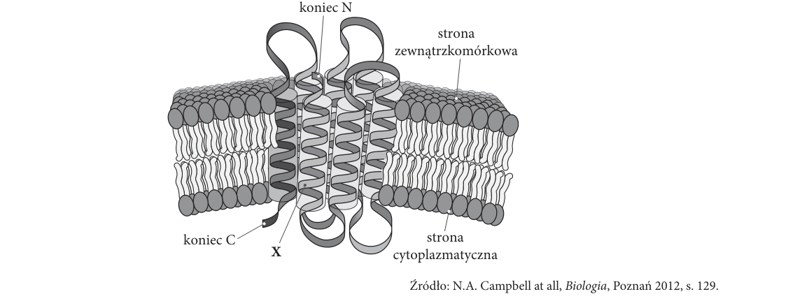 Rycina do zadania 2.2