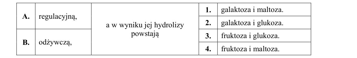 Rycina do zadania 16.3