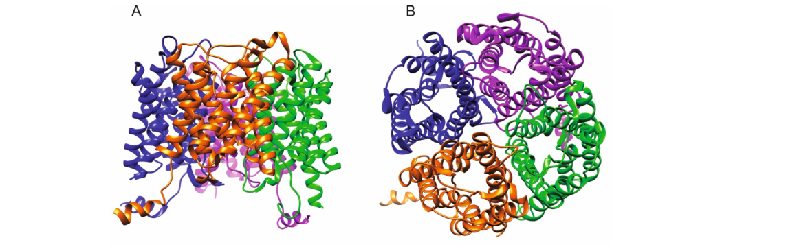 Rycina do zadania 1.1