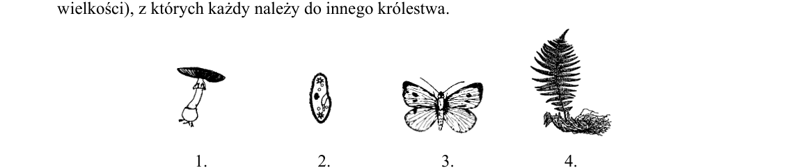 Rycina do zadania 38