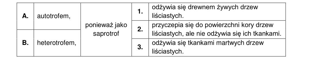 Rycina do zadania 19.3
