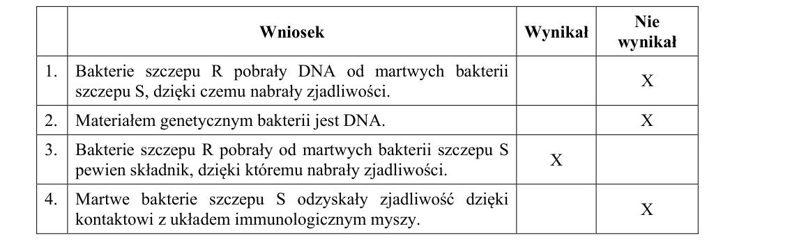 Rycina do rozwiązania zadania 19