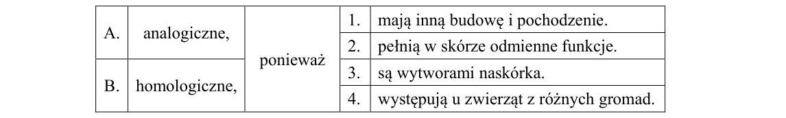 Rycina do zadania 9.3
