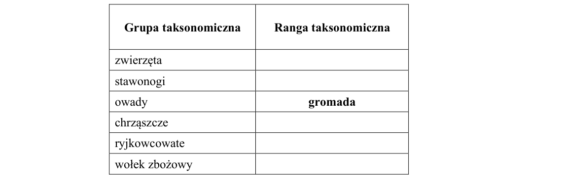 Rycina do zadania 8.4
