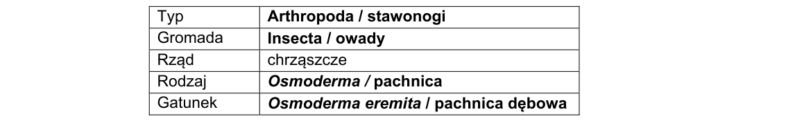 Rycina do rozwiązania zadania 21.1