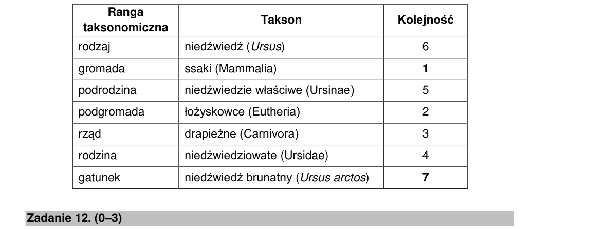 Rycina do rozwiązania zadania 11.3