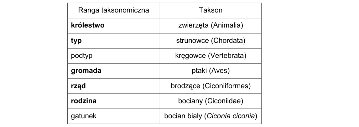 Rycina do rozwiązania zadania 10