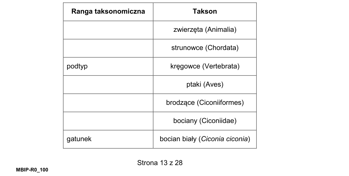 Rycina do zadania 10