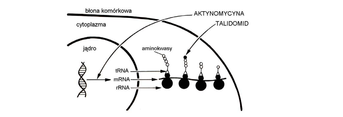 Rycina do zadania 31