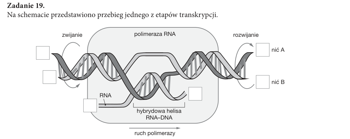 Rycina do zadania 19.2
