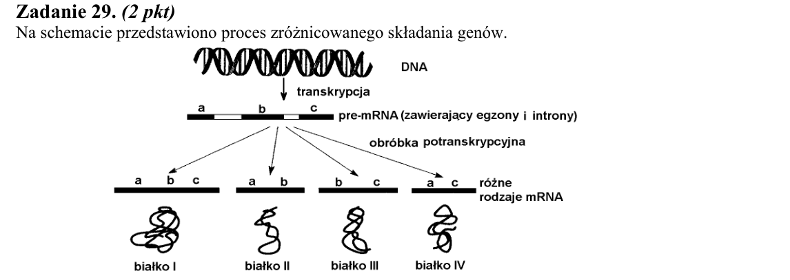 Rycina do zadania 29