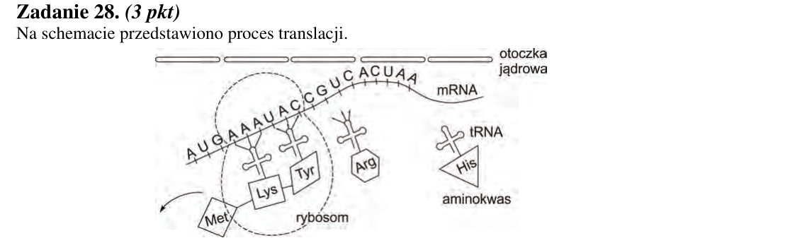 Rycina do zadania 28