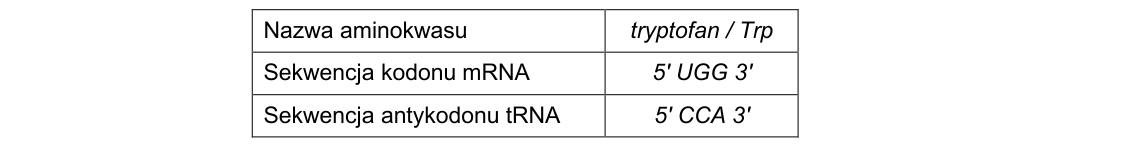 Rycina do rozwiązania zadania 13.1