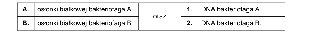 Rycina do zadania 4.1