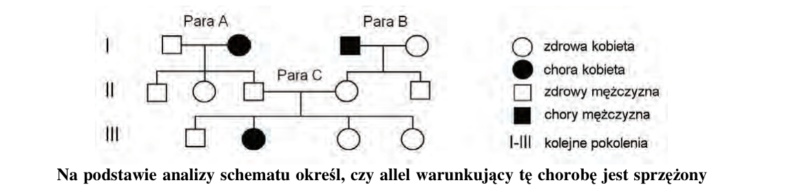 Rycina do zadania 31