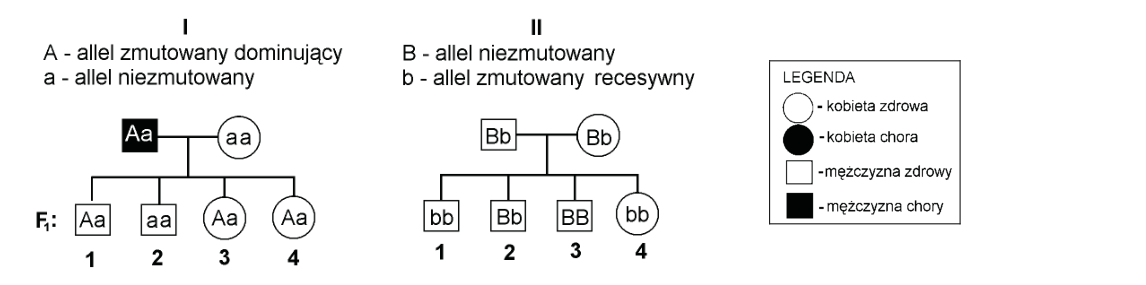 Rycina do zadania 28