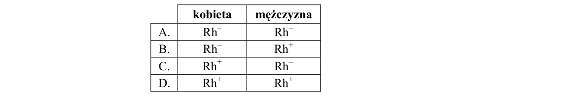 Rycina do zadania 12.2