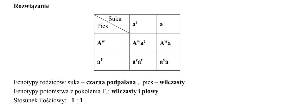 Rycina do rozwiązania zadania 19.1