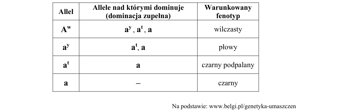 Rycina do zadania 19.1