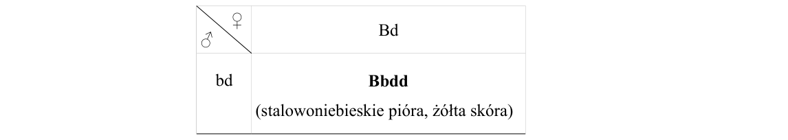 Rycina do rozwiązania zadania 19.2