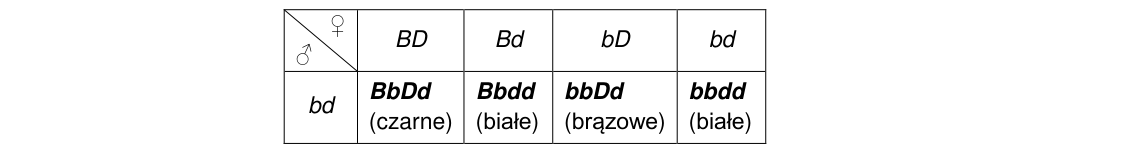 Rycina do rozwiązania zadania 18.2