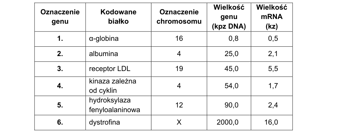 Rycina do zadania 19.3