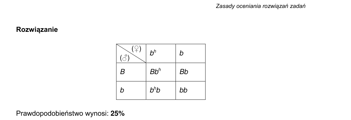 Rycina do rozwiązania zadania 16