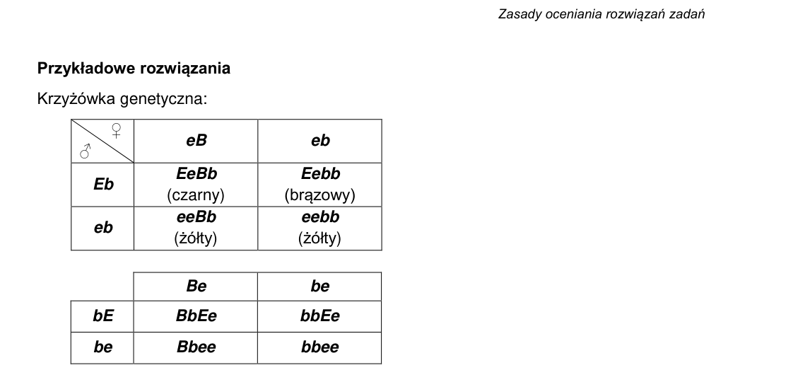 Rycina do rozwiązania zadania 15