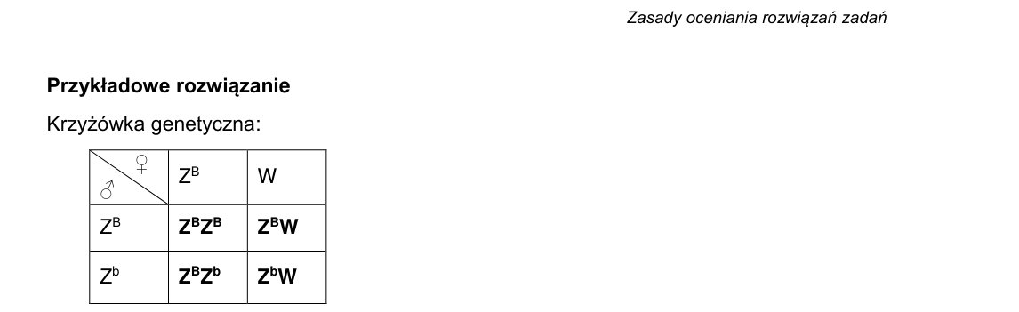 Rycina do rozwiązania zadania 17