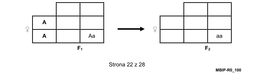 Rycina do zadania 15.3