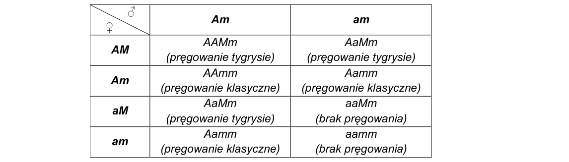 Rycina do rozwiązania zadania 14.2