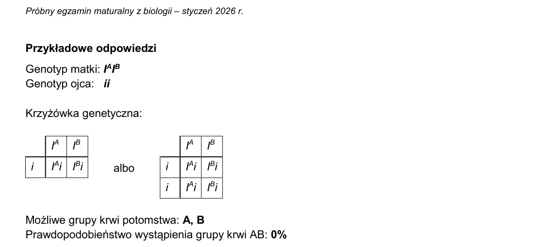 Rycina do rozwiązania zadania 13.3