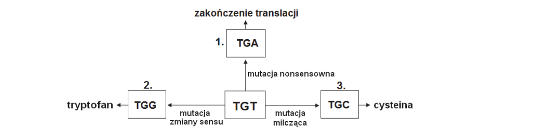 Rycina do rozwiązania zadania 18.1