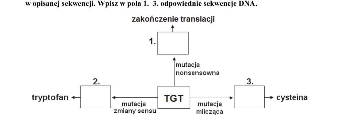 Rycina do zadania 18.1