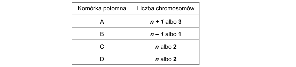 Rycina do rozwiązania zadania 3.1