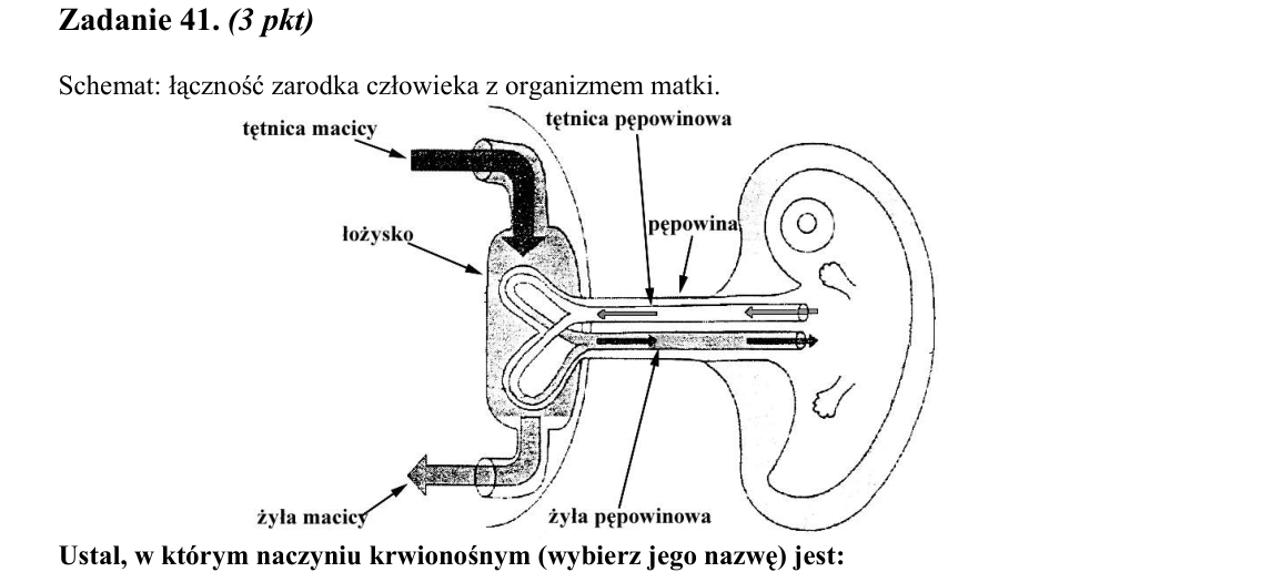 Rycina do zadania 41