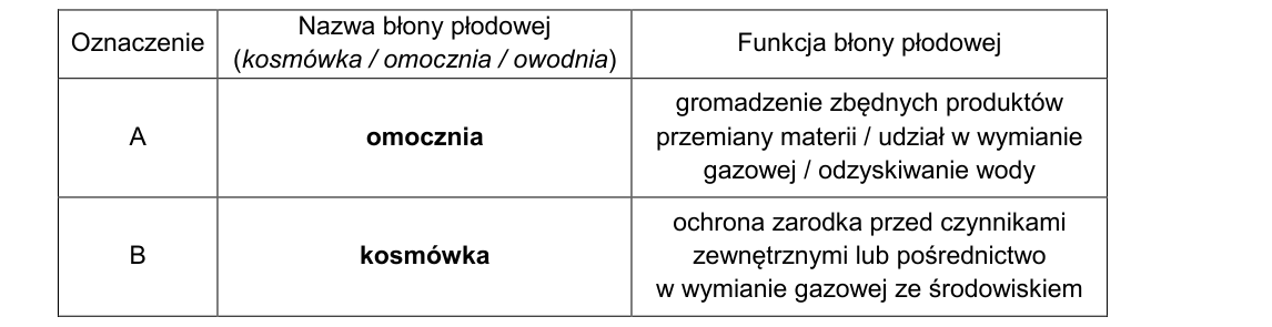 Rycina do rozwiązania zadania 9.1