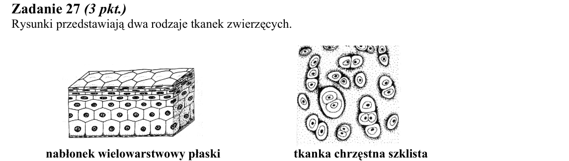 Rycina do zadania 27