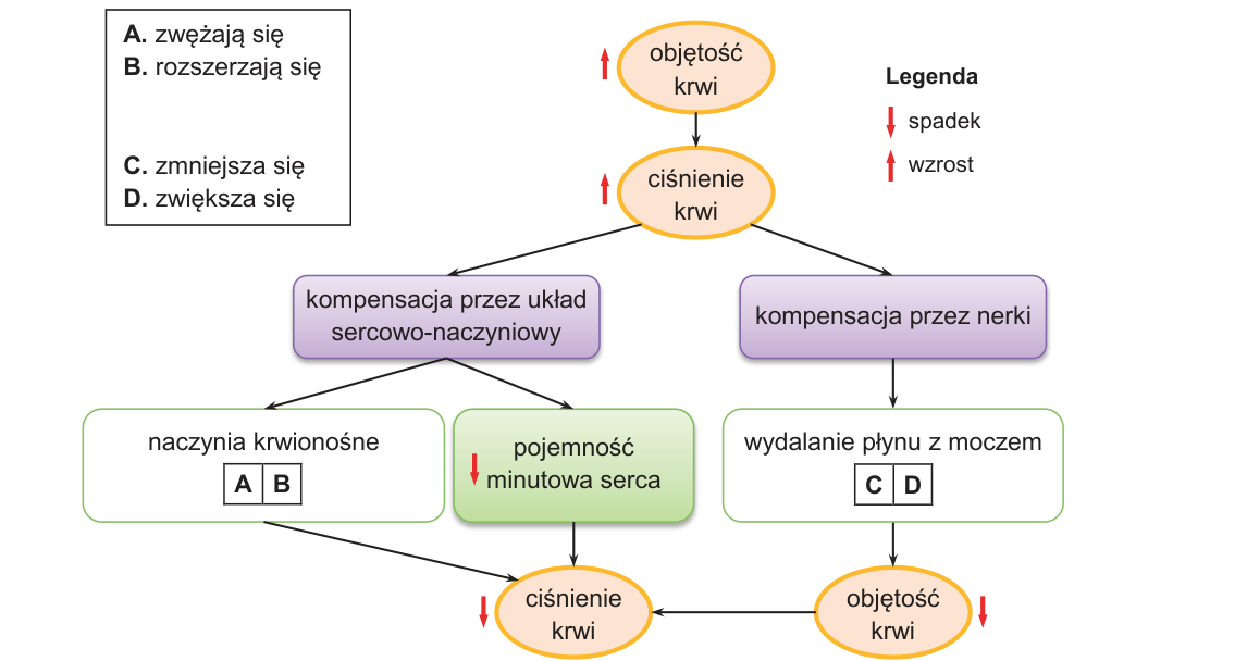 Rycina do zadania 10.1
