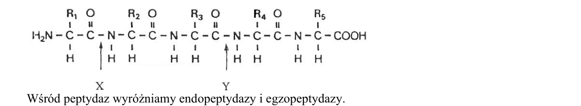 Rycina do zadania 32