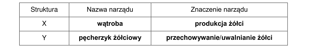 Rycina do rozwiązania zadania 12.1